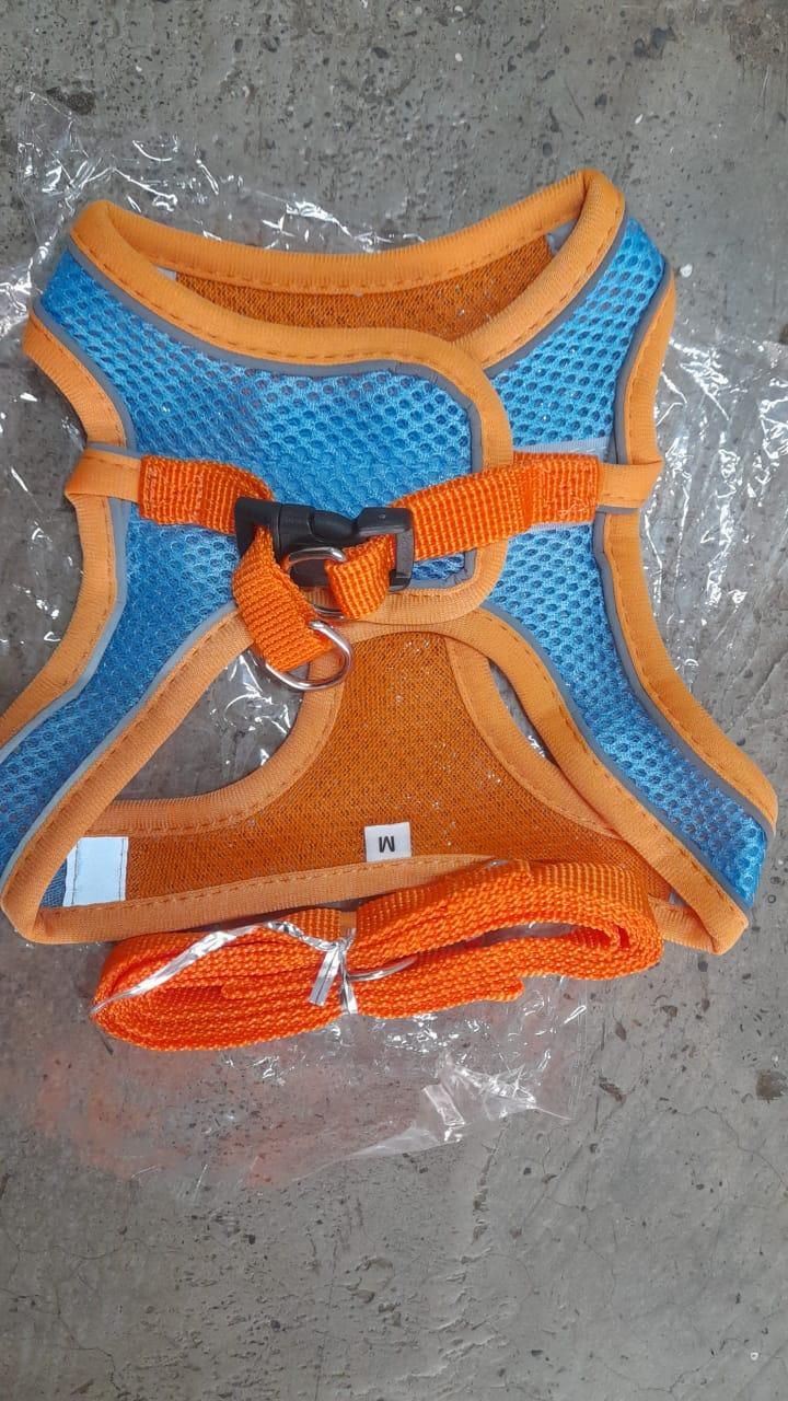 PawSafe Adjustable Cat Harness with Leash