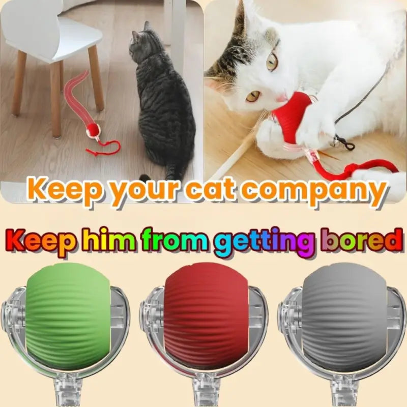 Smart Automatic Self-Moving Cat Toy Ball | USB Rechargeable Interactive Rolling Pet Toy | 3 Play Modes | Obstacle Avoidance for Cats & Small Dogs