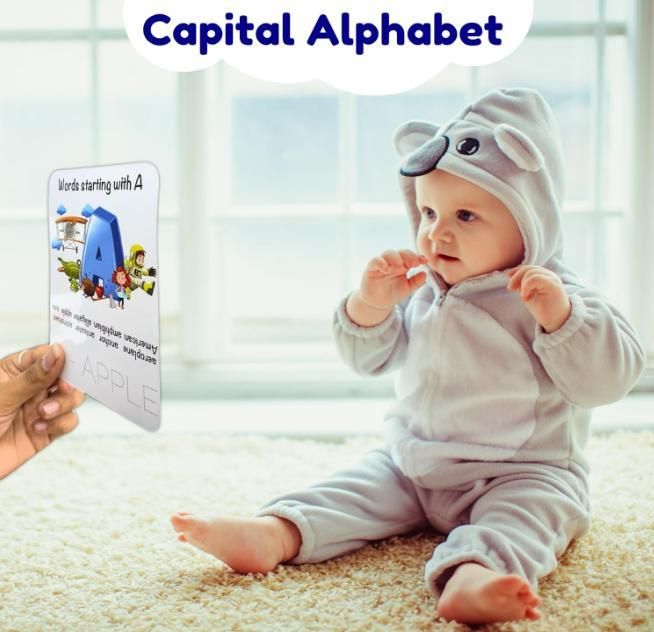 Todfod Re-Writable Smart Knowledge Flash Cards – Reusable Study & Learning Cards