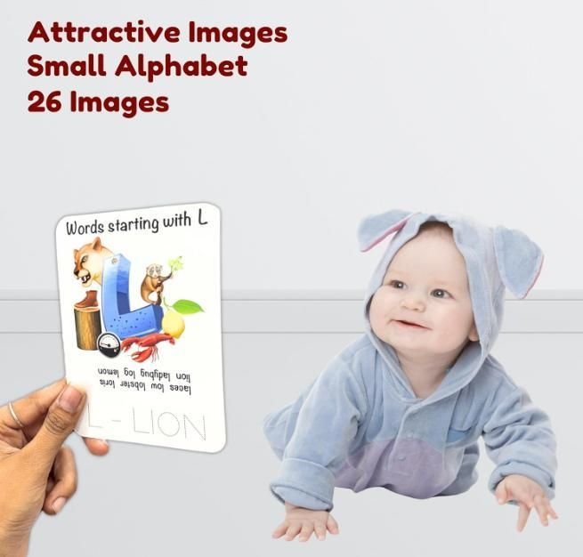 Todfod Re-Writable Smart Knowledge Flash Cards – Reusable Study & Learning Cards