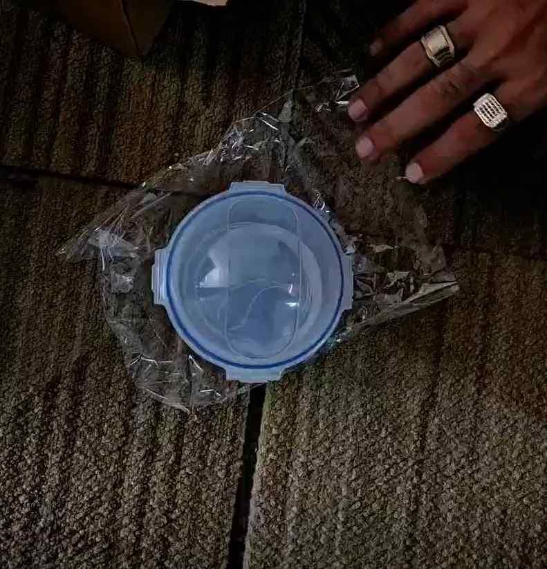 FreshLock Fruit Preservation Box – Food Grade Storage Container