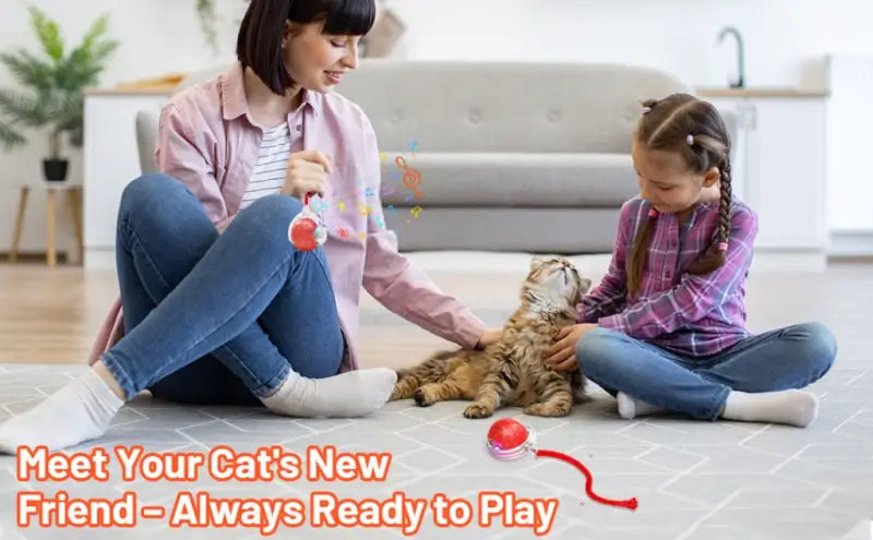 Smart Automatic Self-Moving Cat Toy Ball | USB Rechargeable Interactive Rolling Pet Toy | 3 Play Modes | Obstacle Avoidance for Cats & Small Dogs