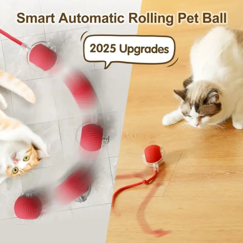 Smart Automatic Self-Moving Cat Toy Ball | USB Rechargeable Interactive Rolling Pet Toy | 3 Play Modes | Obstacle Avoidance for Cats & Small Dogs