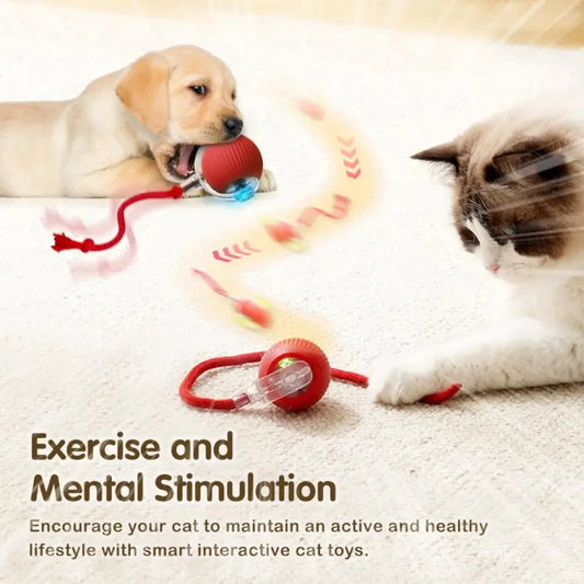 Smart Automatic Self-Moving Cat Toy Ball | USB Rechargeable Interactive Rolling Pet Toy | 3 Play Modes | Obstacle Avoidance for Cats & Small Dogs