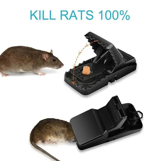 Krifton Reusable Mouse Catcher Trap Cage | Humane Live Catch & Release Rat Trap | Safe Non-Toxic Indoor & Outdoor Pest Control (1 Pc)